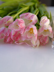 bouquet of soft pink and white tulips on a reflective white surface, fresh flowers for Mother’s Day, Women’s Day, and festive celebrations