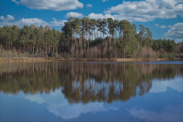 Staw w lesie © Foto_Marek