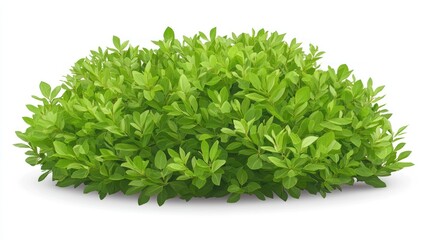 Obraz premium Lush Green Bush: A Vibrant Display of Nature's Beauty