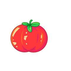 tomato isolated on white background