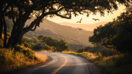 A winding road leads through a sunlit landscape with birds flying