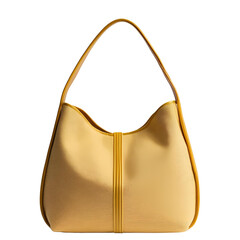 female handbag isolated on white