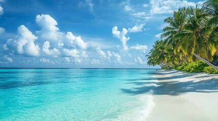 Fototapeta premium Photograph of the tropical beach with palm trees and turquoise sea water, a summer vacation background.