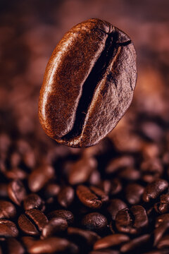 Macro View of Roasted Coffee Bean