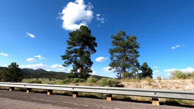 New Mexico Driving 1054 Datil Quemado