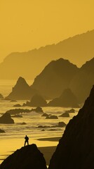 Silhouette of a person looking over a coastal ocean landscape