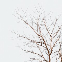 Obraz premium Rustic Ash Tones Landscape