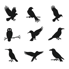 Obraz premium set of silhouettes of birds