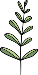 Hand drawn colorful leaf with outline, suitable for coloring book and floral ornament
