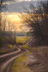 Fototapeta premium a winding dirt road through leafless trees and green hills, against a bright orange sunset sky