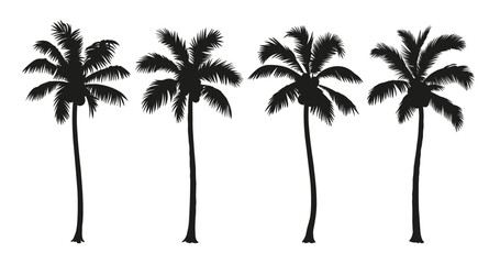 Tropical coconut palm tree set. Collection of monochrome graphic silhouettes. Abstract botanical elements isolated on a white background. 