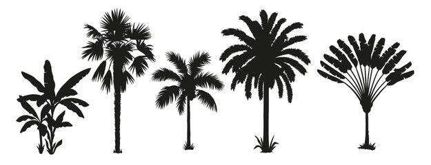 Tropical palm tree set. Collection of monochrome graphic silhouettes. Abstract botanical elements isolated on a white background. 