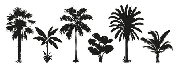 Tropical palm tree set. Collection of monochrome graphic silhouettes. Abstract botanical elements isolated on a white background. 