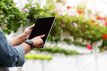 Climate control in modern greenhouse. African american girl with smart watch works with tablet on flowers in pots background, cropped, panorama