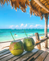 Two drinking coconut with straws on a sandy tropical beach among corral. High quality photo