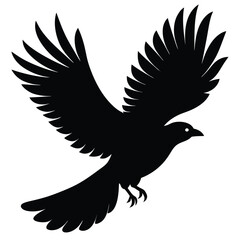 Obraz premium flying bird silhouette