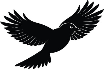 Fototapeta premium flying bird silhouette