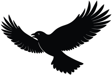 Obraz premium flying bird silhouette