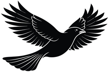 Fototapeta premium flying bird silhouette