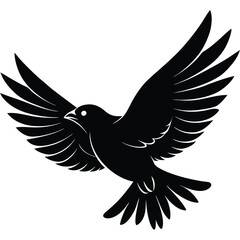 Obraz premium silhouettes bird flying