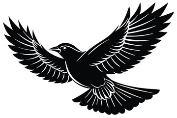 Obraz premium silhouettes bird flying