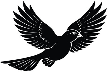 Obraz premium silhouettes bird flying