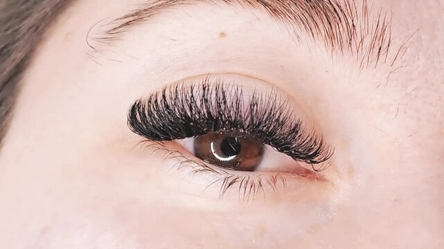 Close up of eye with eyelash extensions ,beauty salon treatment ,2d volume, 3d volume, classical lashes,Russian volume,megavolume, new set