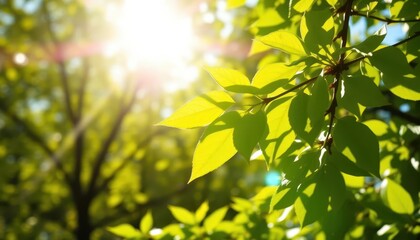Obraz premium Vibrant green spring leaves, sunlight dappled, shallow depth of field, lush, daylight
