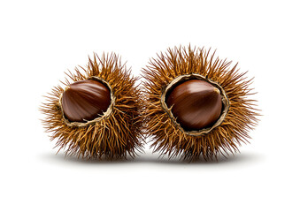 Chestnuts with spiky shells, showcasing their natural beauty and texture, are perfect for culinary uses or seasonal decorations