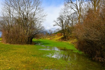 Flooded meadow with green grass in spring