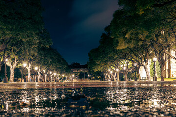 Park wieczorem © Jakub