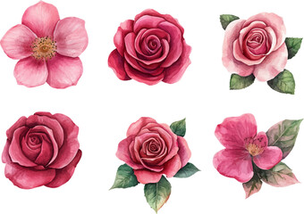 Naklejka premium Watercolor pink roses drawing, Pink roses flower printable, Watercolor pink roses sketch, Pink roses flower motif, Watercolor pink roses 
