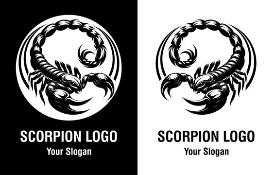Black and white scorpion illustration for logos, tattoo designs, science textbooks, and Halloween decorations. Perfect for naturethemed projects.