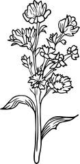 Flower line art illustration, floral vector drawing