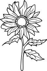 Flower line art illustration, floral vector drawing