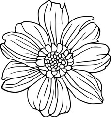 Flower ornament line art illustration, floral vector drawing