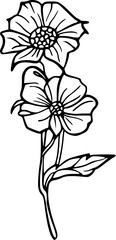 Flower line art illustration, floral vector drawing