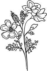 Flower line art illustration, floral vector drawing