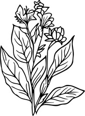 bouquet of flowers in line art drawing