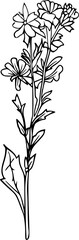 vector illustration of a tree branch, flower in line art