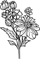 vector illustration of a flower in line art