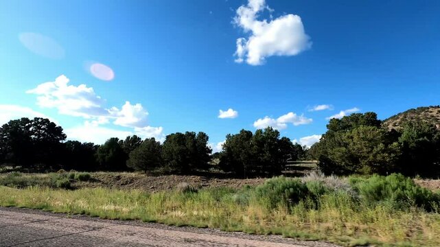 New Mexico Driving 1063 Datil Quemado