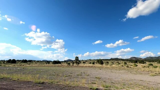 New Mexico Driving 1065 Datil Quemado