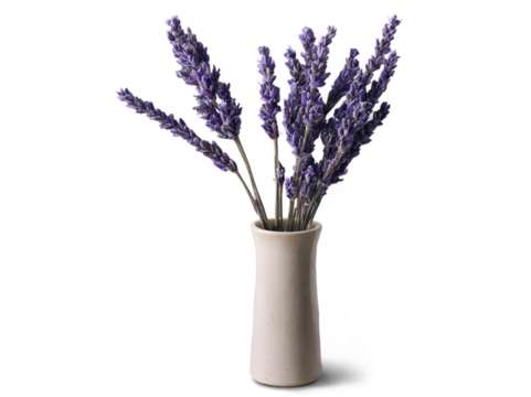 Elegant Still Life, Dried Lavender in a Minimalist Ceramic Vase