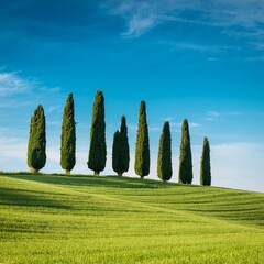 cypress trees scient. name Cupressus sempervirens AI generated