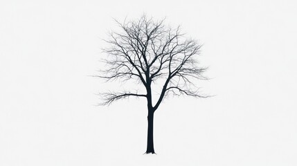 Obraz premium Solitary Bare Tree Against a White Sky: A Minimalist Winter Scene