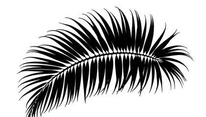 Obraz premium Intricate black palm silhouette against pure white, minimal, decor