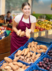 Young woman seller of fruit and vegetable store works near showcase with garden-stuff, sorting yam, checking goods.