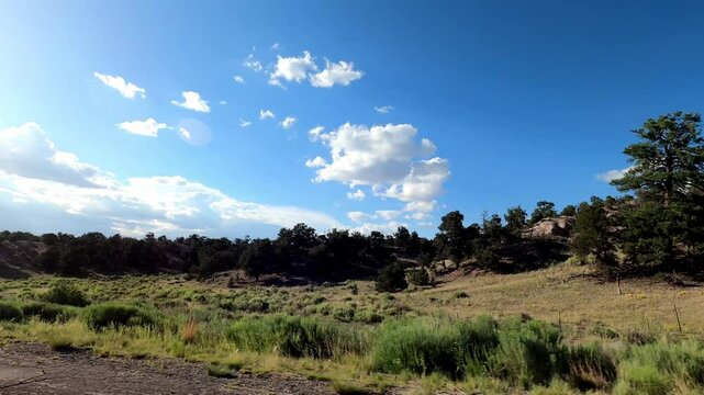 New Mexico Driving 1067 Datil Quemado