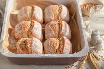 Healthy and homemade buns made of sourdough.